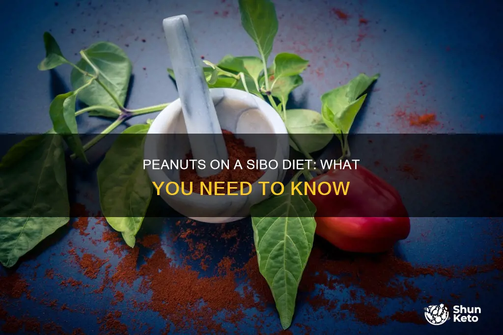 are peanuts allowed on sibo diet