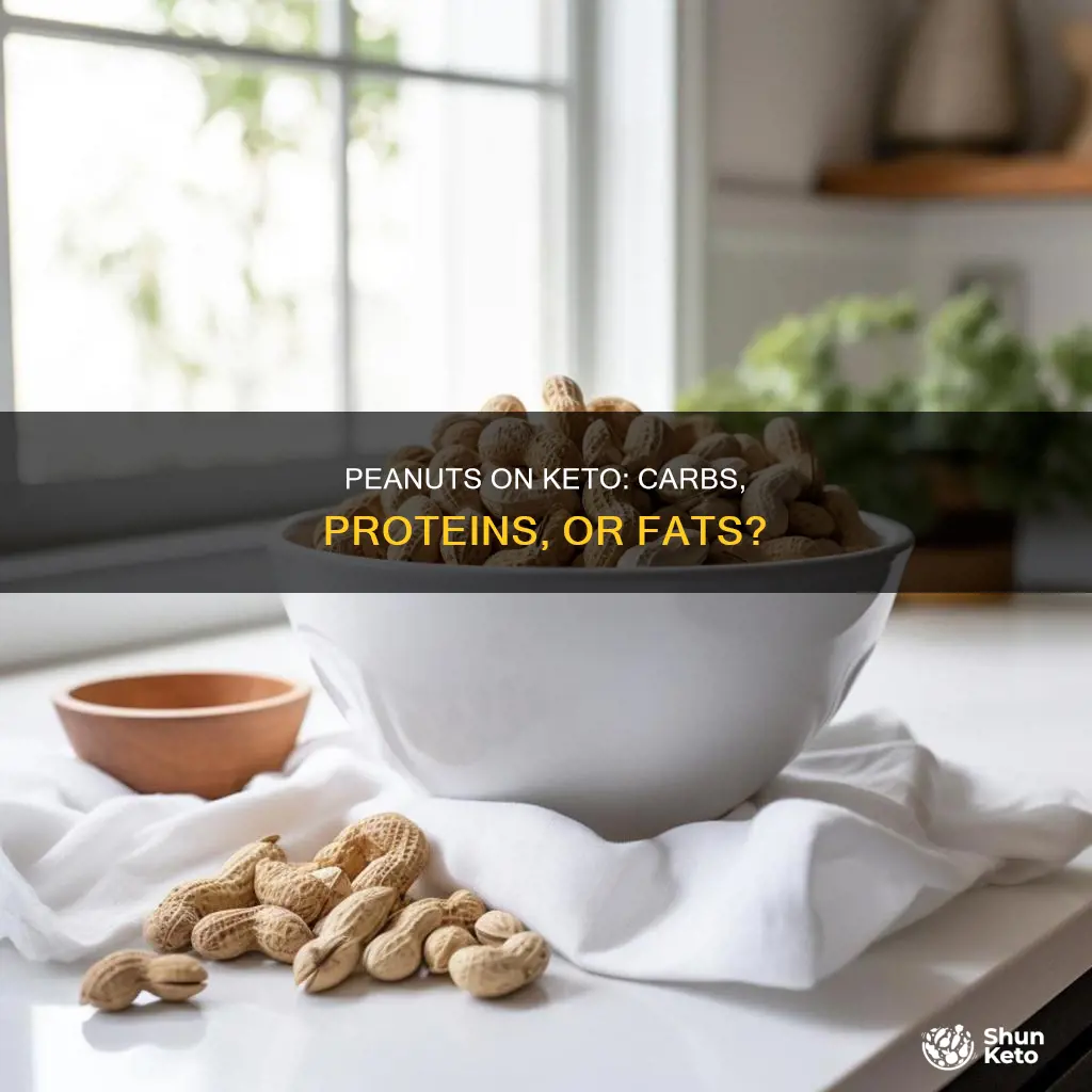 are peanuts considered carbs protein or fat in keto