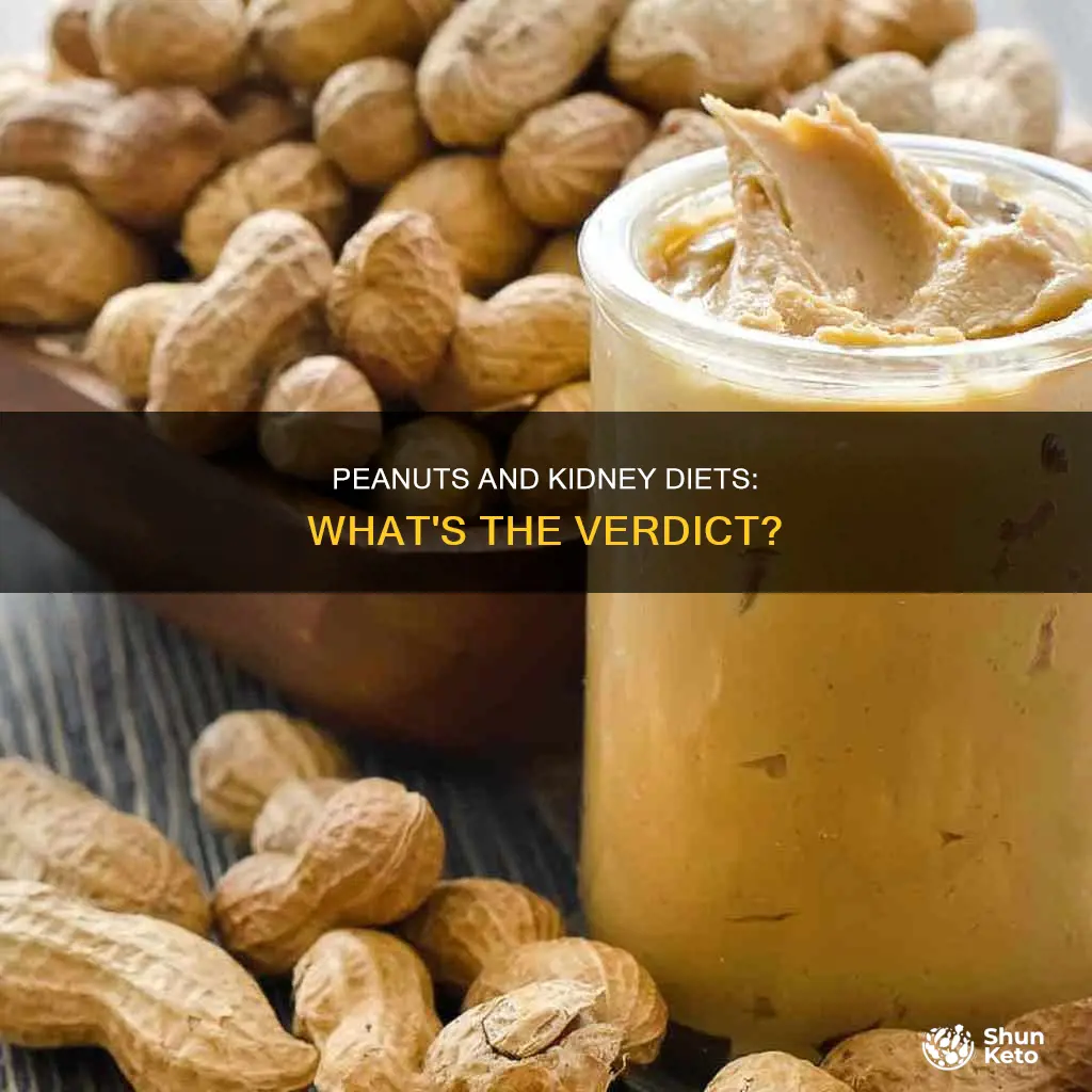 are peanuts ok on a kidney diet