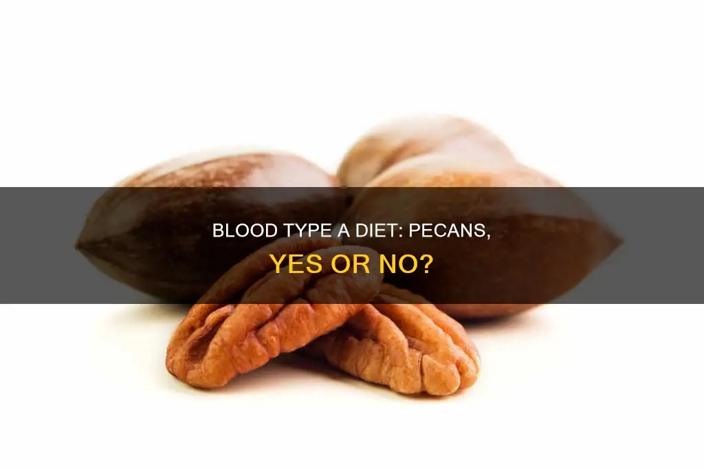 are pecans on the blood type a diet