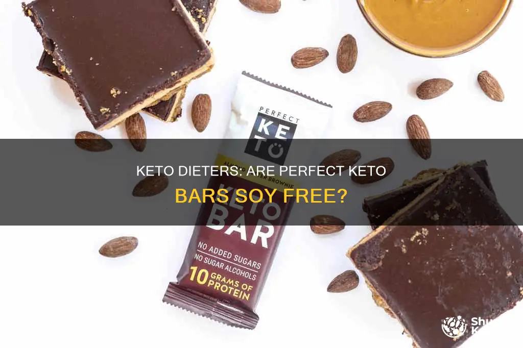 are perfect keto bars soy free