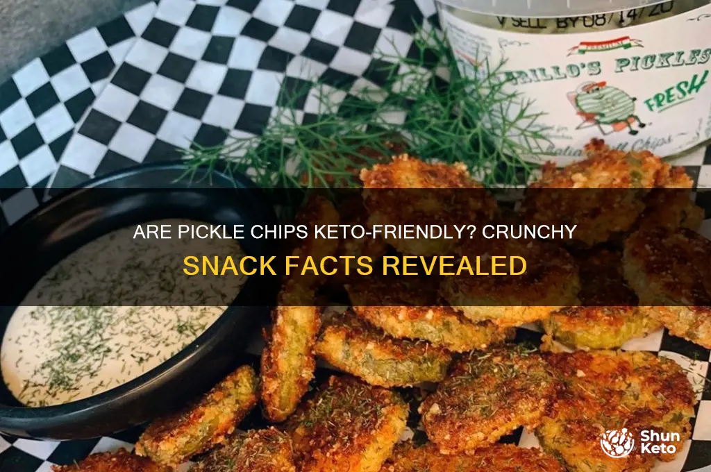 are pickle chips keto