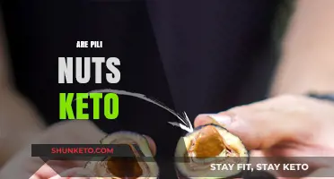 Are Pili Nuts Keto-Friendly? Nutritional Benefits and Low-Carb Facts