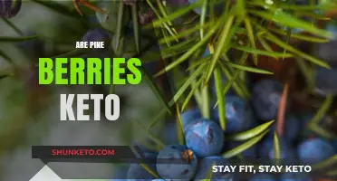 Are Pine Berries Keto-Friendly? A Nutritional Analysis and Benefits