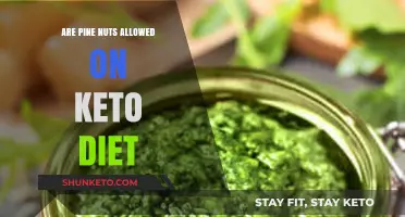Can You Eat Pine Nuts on a Keto Diet? Find Out Here