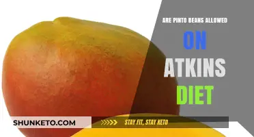Pinto Beans on Atkins: What's Allowed?