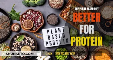 Plant-Based Diets: A Protein-Rich Alternative?