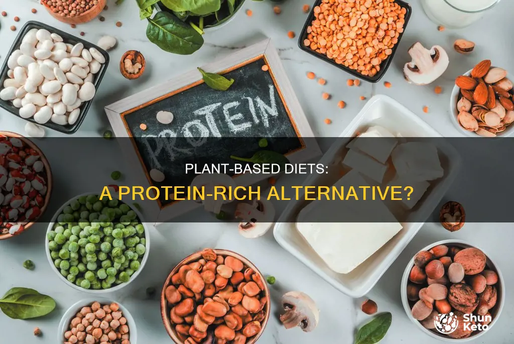 are plant based diet better for protein