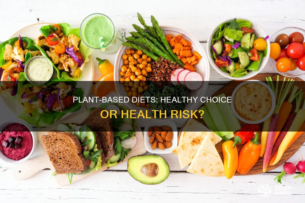 are plant based diet recommend