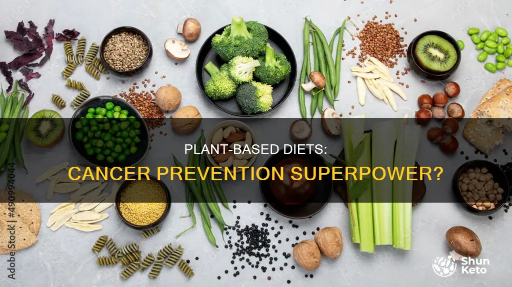 are plant based diets better at preventing cancer