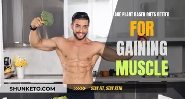 Plant-Based Diets: Muscle Gain Miracle or Myth?