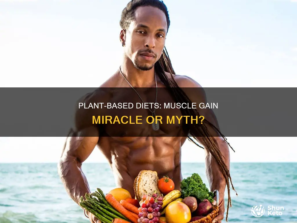 are plant based diets better for gaining muscle