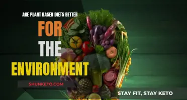 Plant-Based Diets: Environmental Benefits and Beyond