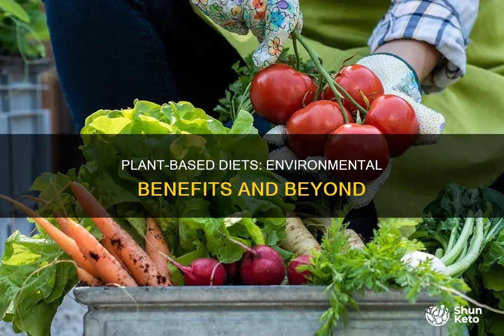 are plant based diets better for the environment