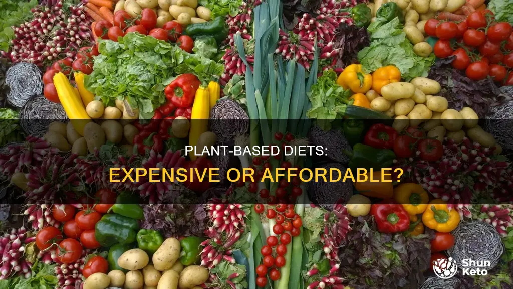 are plant based diets expensive