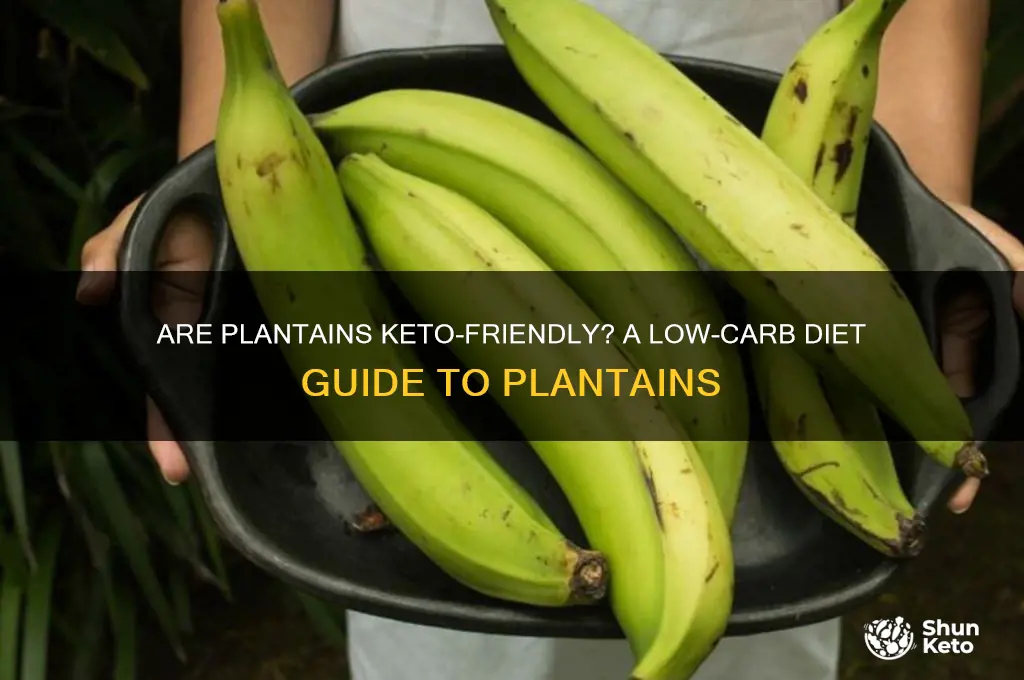 are plantain keto