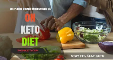 Underground Plants and Keto: Are Root Vegetables Diet-Friendly?