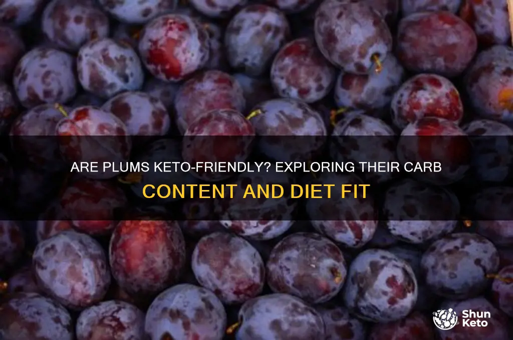 are plums keto compliant