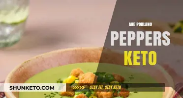 Are Poblano Peppers Keto-Friendly? A Low-Carb Diet Guide