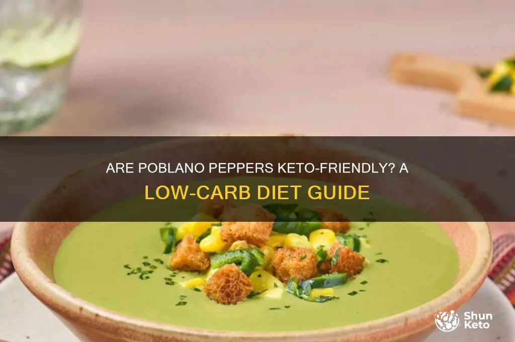 are poblano peppers keto