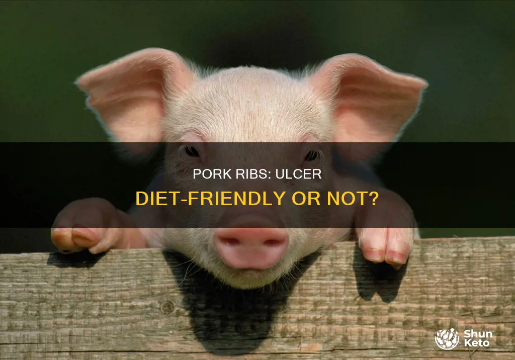 are pork rib ok on an ulcer diet
