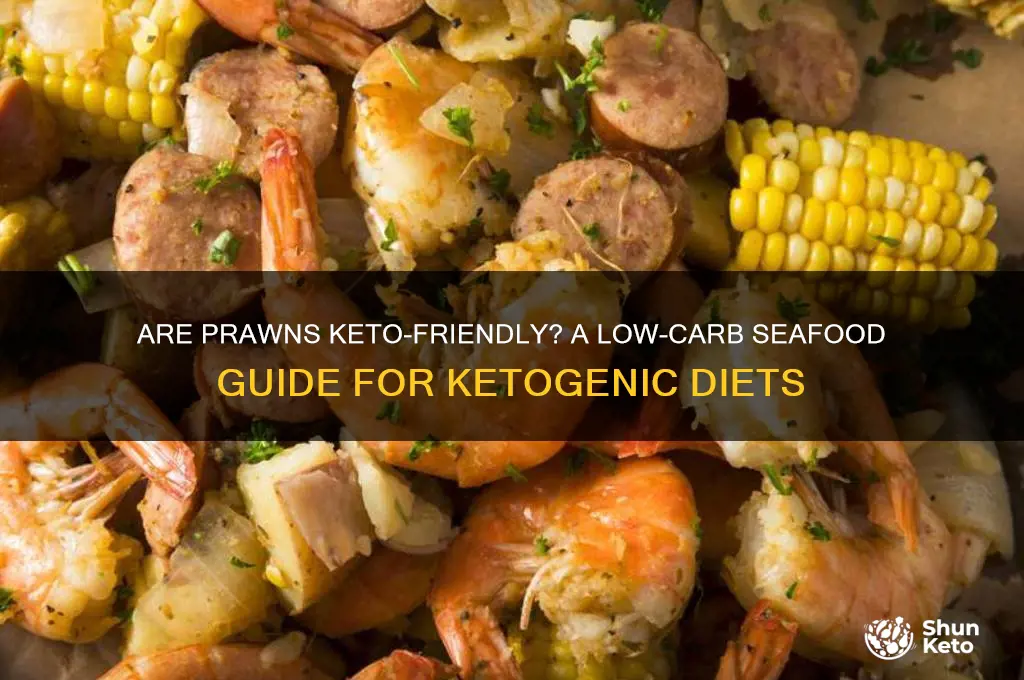 are prawns keto