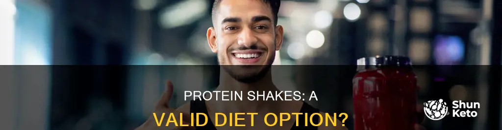 are protein shakes a valid diet option