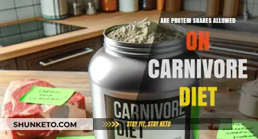 Protein Shakes: Carnivore Diet-Friendly?