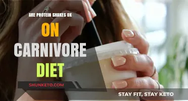 Protein Shakes: Carnivore Diet-Friendly?