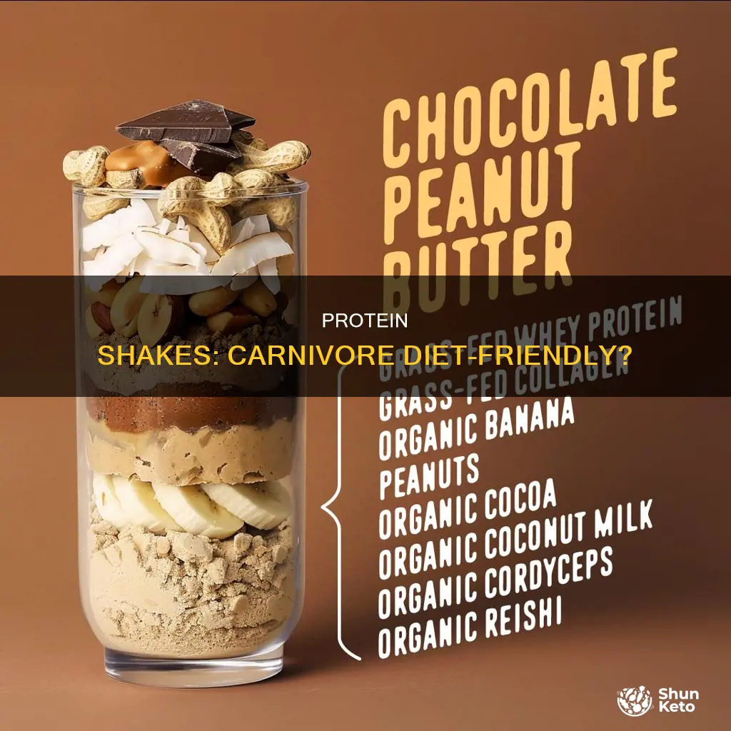 are protein shakes ok on carnivore diet