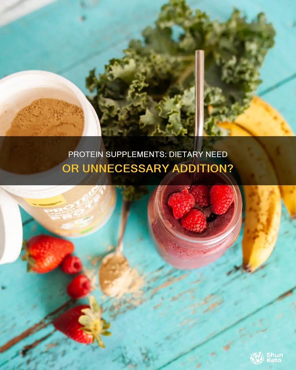 are protein supplements necessary in diet