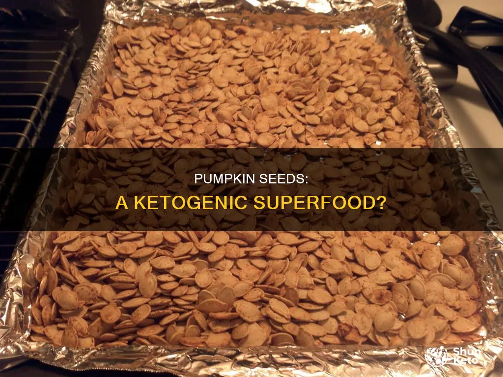 are pumpkin seeds okay for ketogenic diet