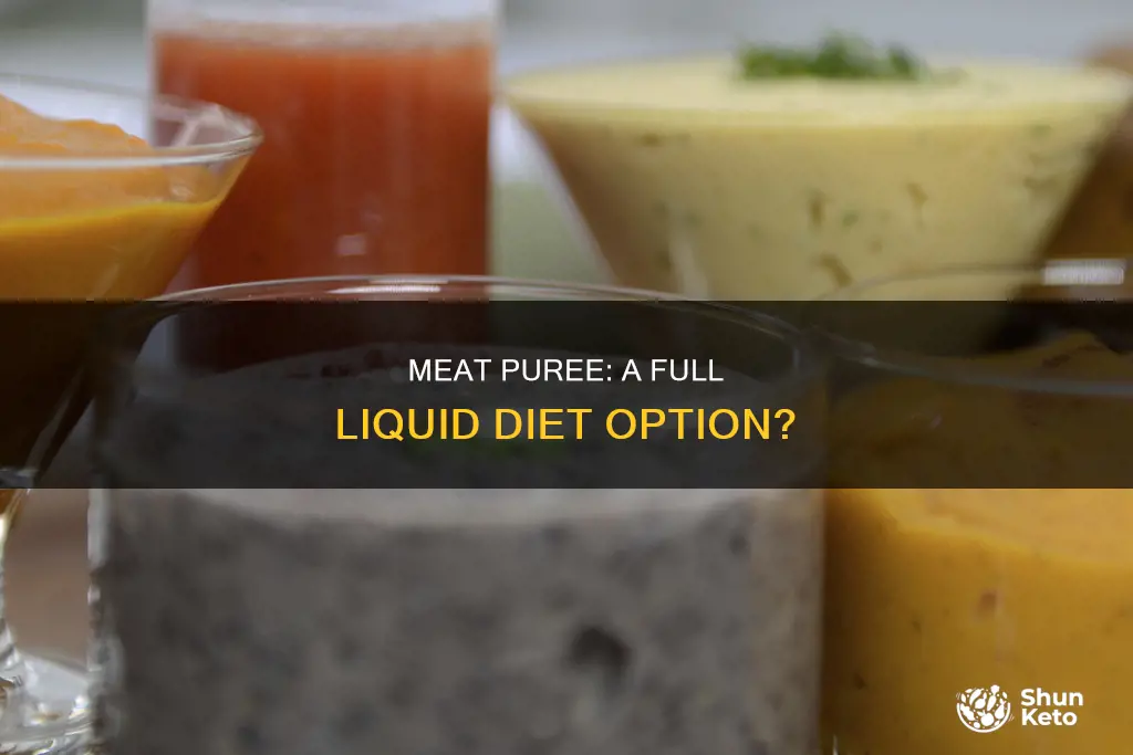 are pureed meat full liquid diet