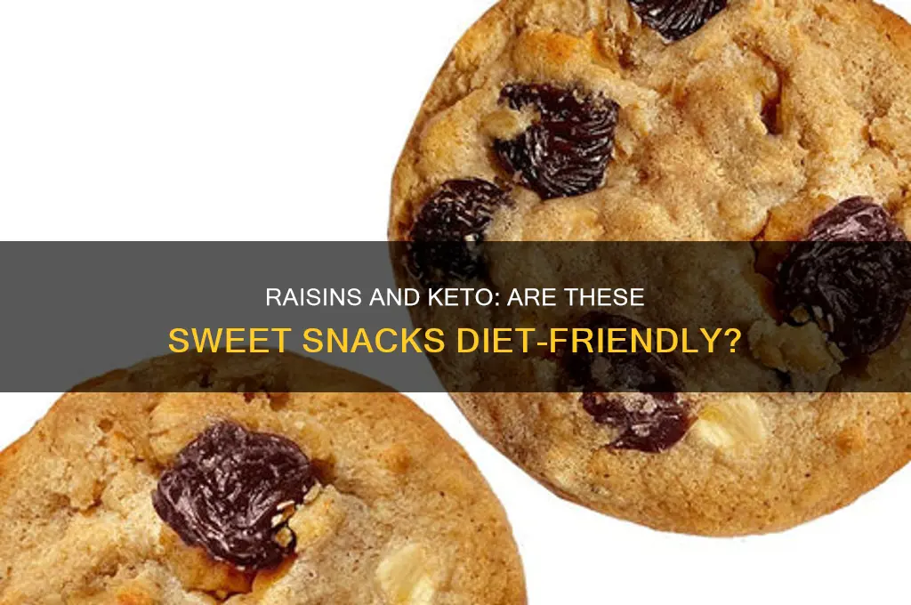 are raisin bad for keto diet