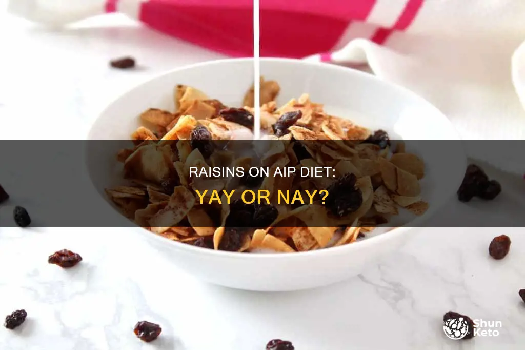 are raisins allowed on aip diet