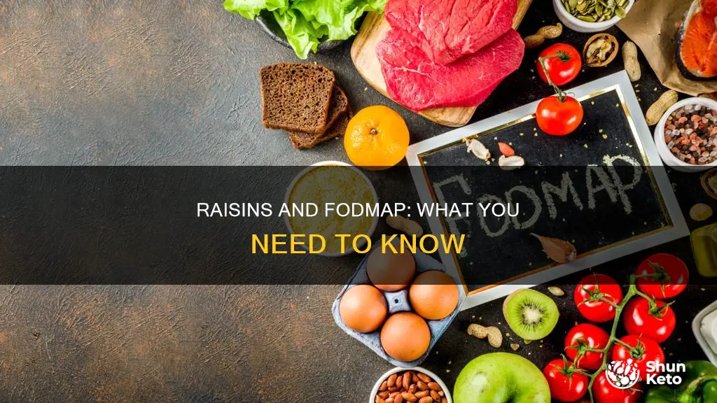 are raisins allowed on fodmap diet