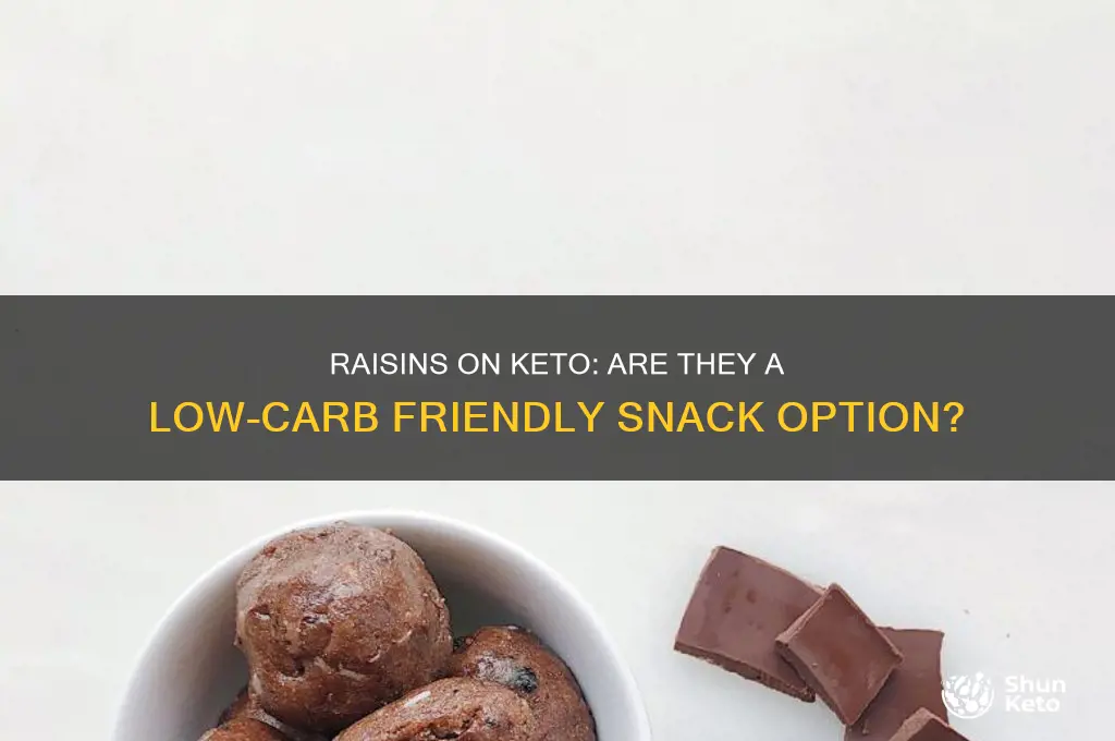 are raisons okay in a keto diet
