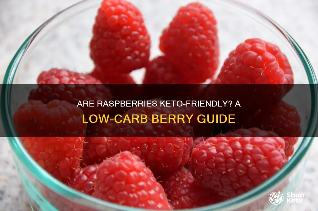 are raspberries keto