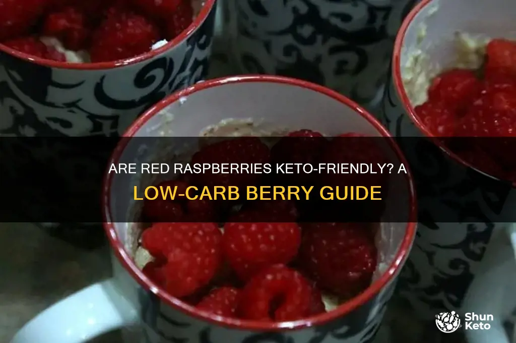 are red raspberries keto