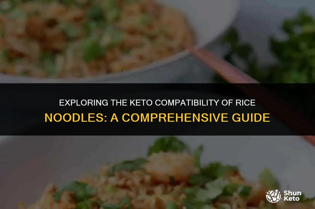 are rice noodle keto friendly