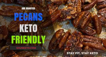 Crunchy Delight: Are Roasted Pecans a Keto-Friendly Snack?