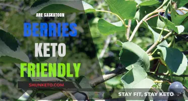 Exploring the Keto Compatibility of Saskatoon Berries: A Nutritional Insight