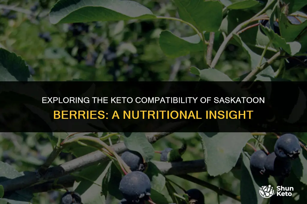are saskatoon berries keto friendly