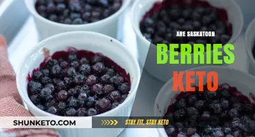 Are Saskatoon Berries Keto-Friendly? Nutrition Facts and Low-Carb Tips