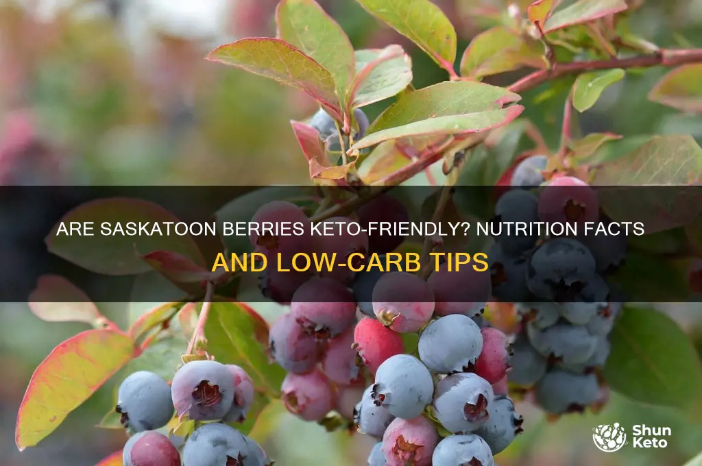 are saskatoon berries keto