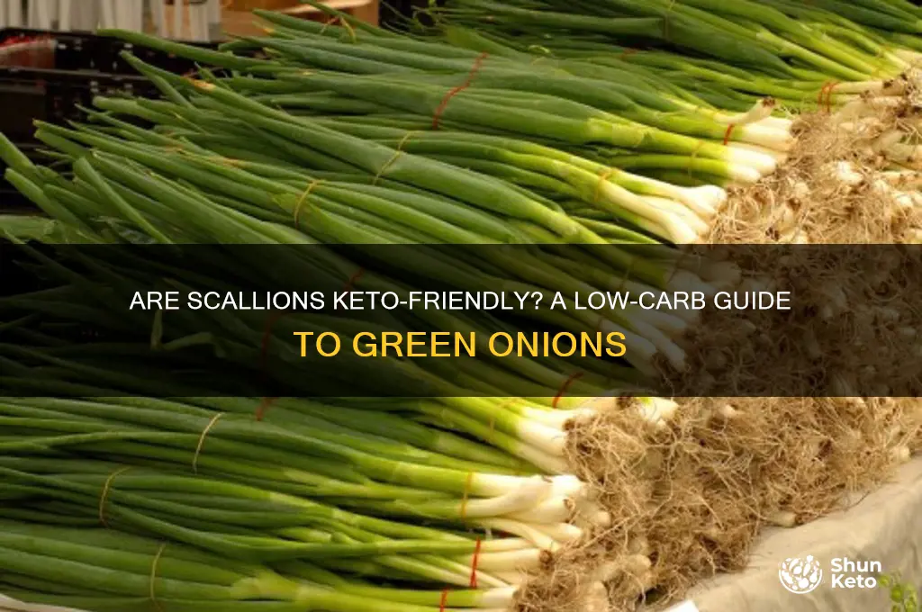 are scallions keto
