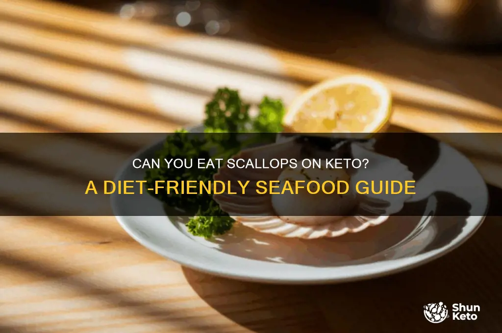 are scallops allowed on keto diet