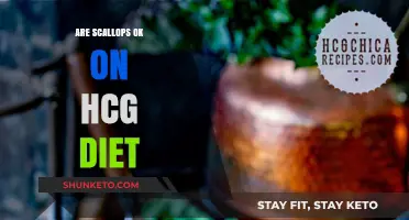 Scallops and the HCG Diet: What's the Verdict?