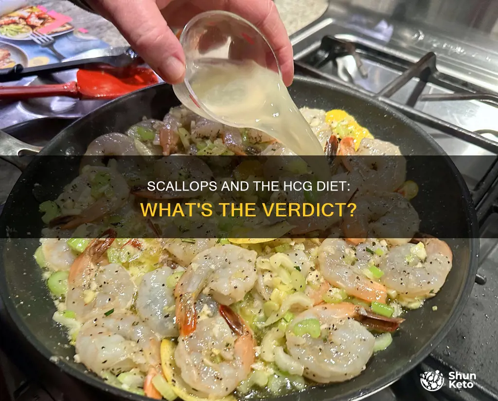 are scallops ok on hcg diet