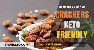 Crunchy Keto Delight: Sea Salt Almond Flour Crackers